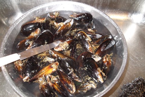 Mussel Soup 7 May 2011 002