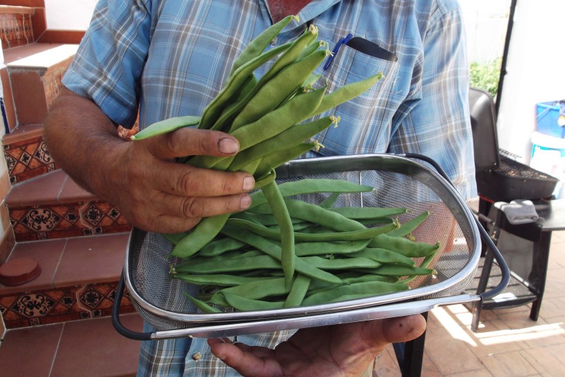 Food end June 2011 045