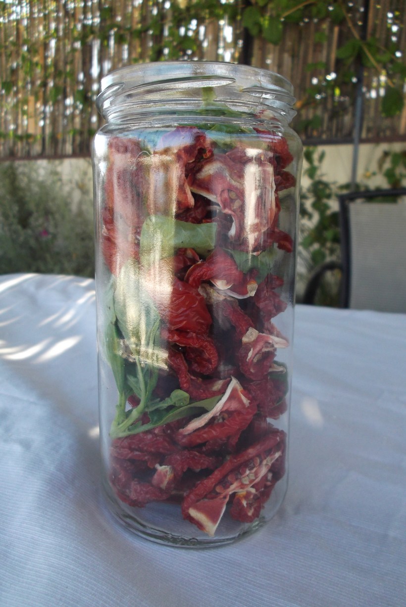 Sun Dried Toms Day 3 01 (4)