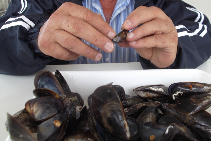 We ate SO many...the trays full of steamed mussels just kept coming!