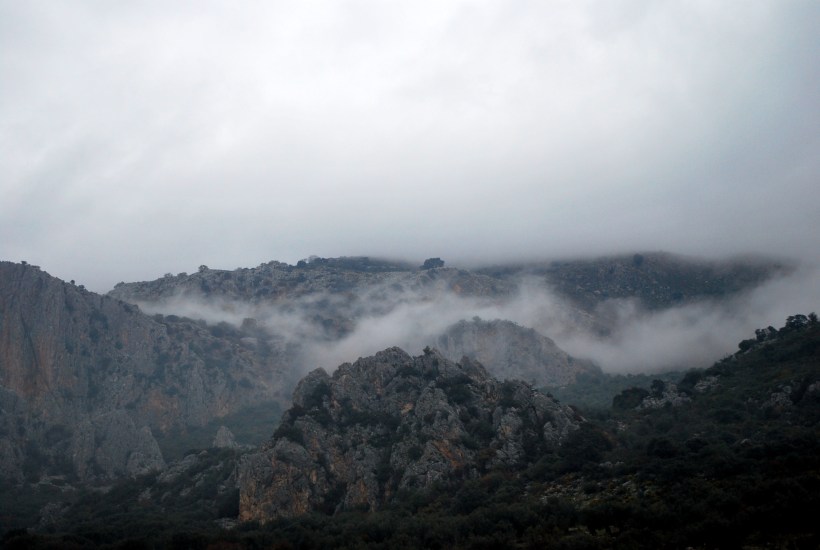 A foggy morning Up the Mountain