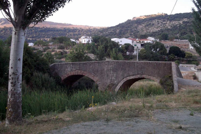 Paseo con los chuchos (12)