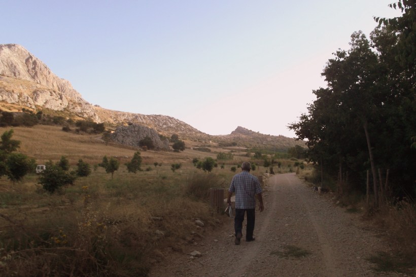 Paseo con los chuchos (2)