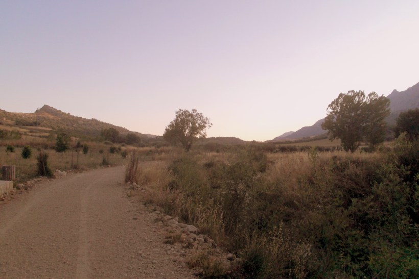 Paseo con los chuchos (3)