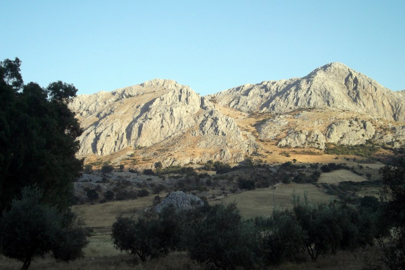 Paseo con los chuchos (9)