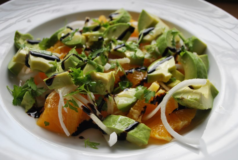 Orange & Avocado Salad (4)