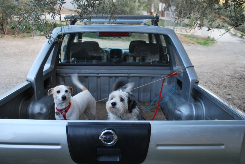 Don't worry - we'll all be travelling in more comfort than this!