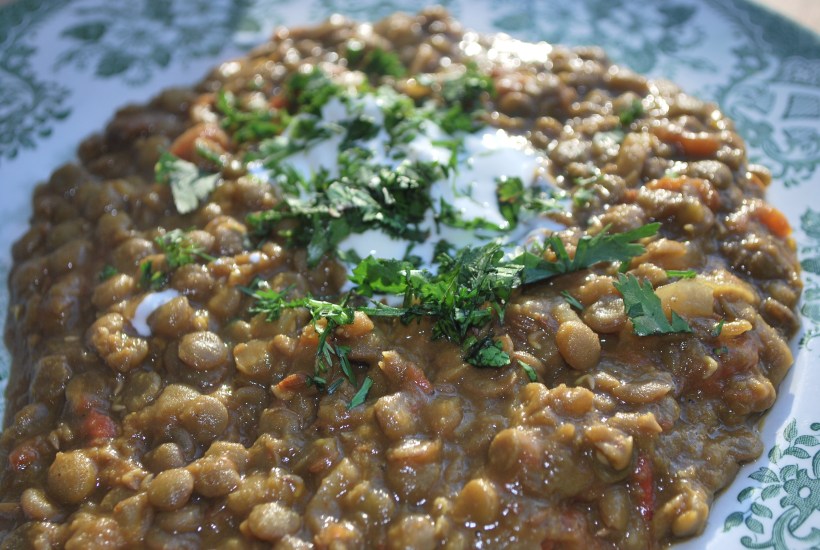 Green Lentil Curry (9)