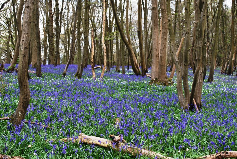 ????????????????????????????????????